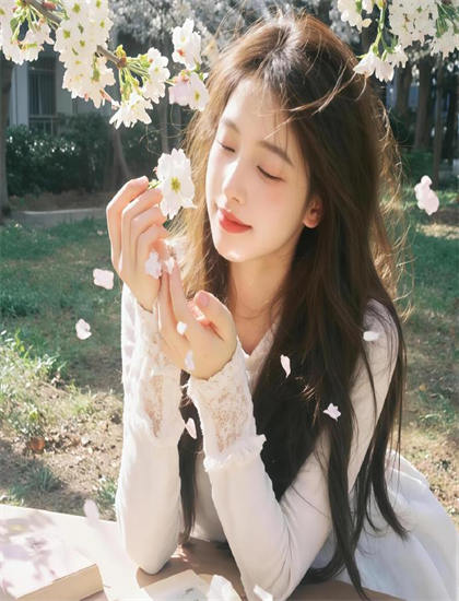 《变焦大师级的：海狸图书女孩》完整剧情分析：角色关系与情感线索详细拆解，影院同步